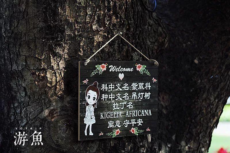 全国药店数量远超奶茶店，盈利方式曝光——背后“潜规则”太多