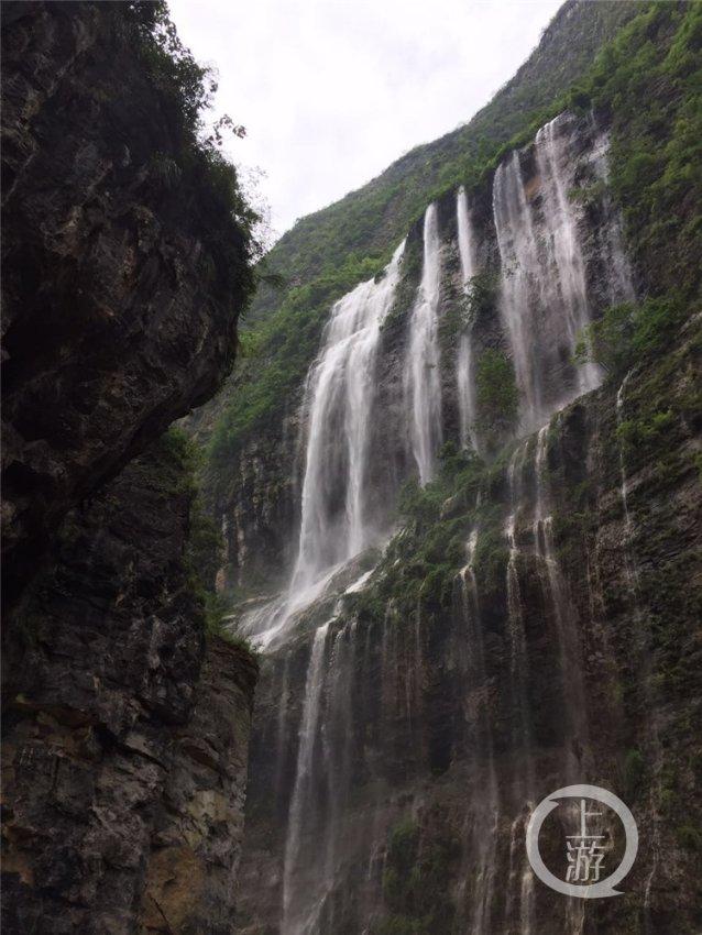 三亚沙滩现多起僧帽水母伤人事件,当地回应:无游客中毒