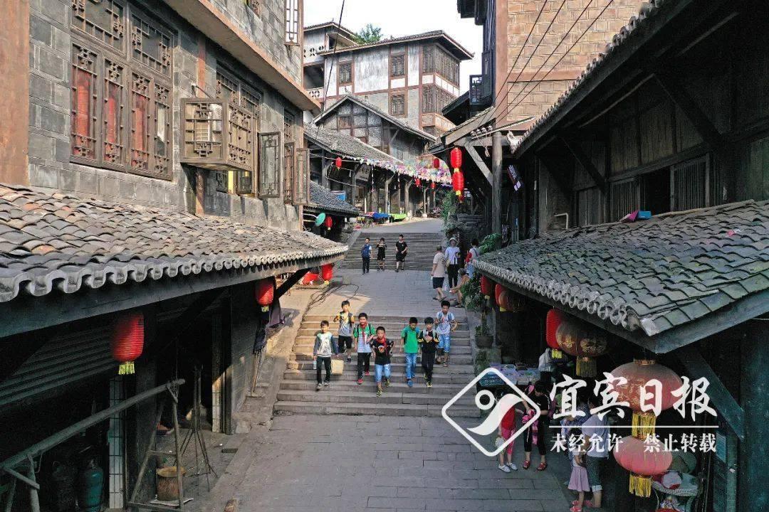美人鱼的聚会